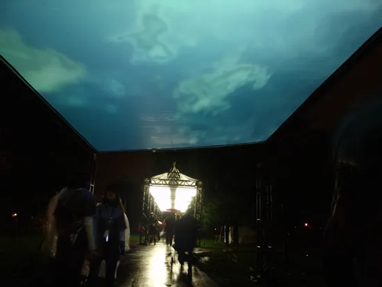 Electronic Sky